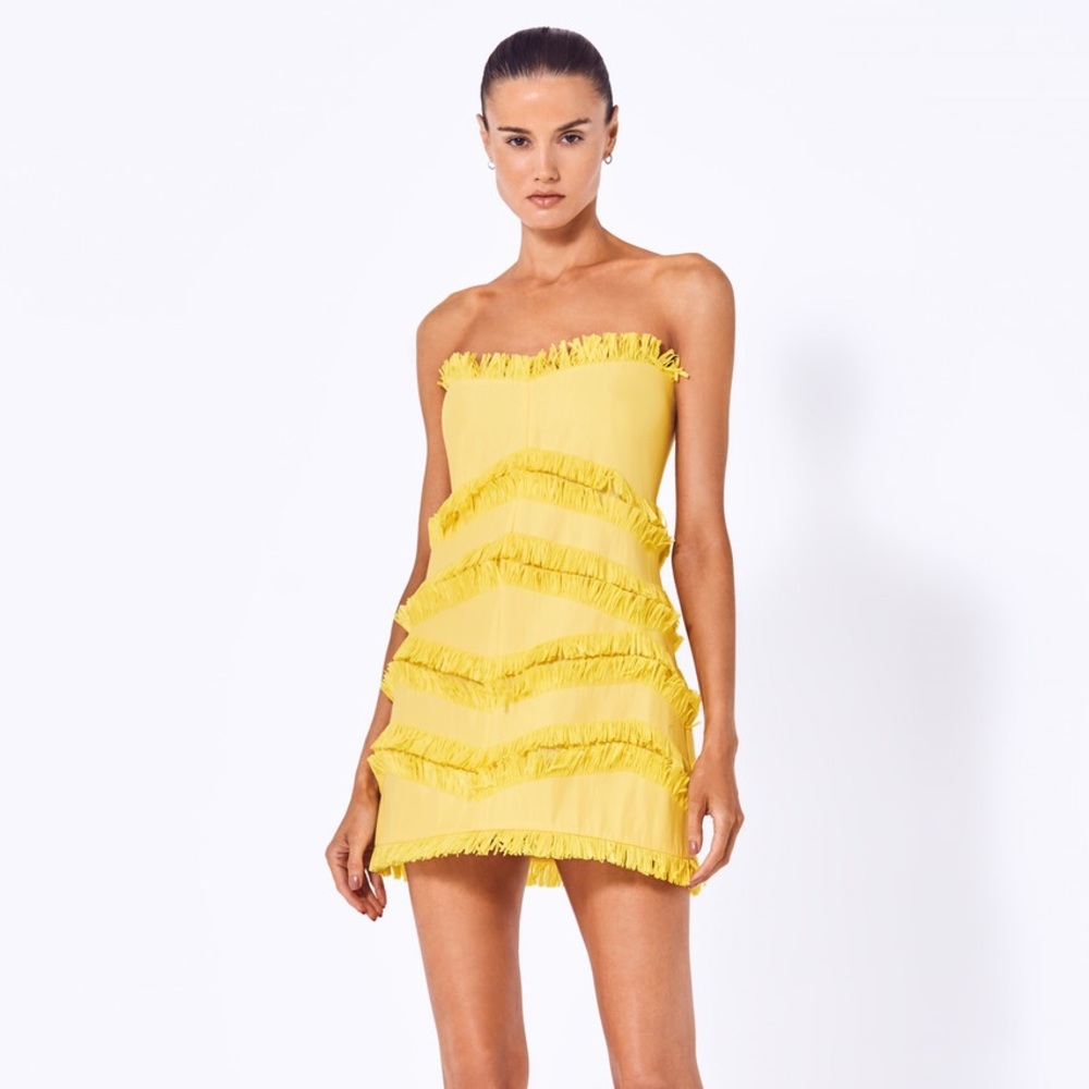 Alexis fione dress size M